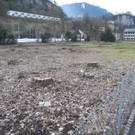DSCN0125.JPG
