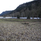 DSCN0130.JPG