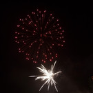 13561195.jpg