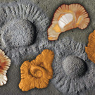 ABD0080-20140311.jpg