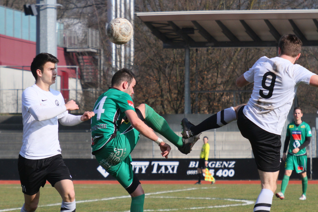 alibabic links unverdorven rechts.jpg