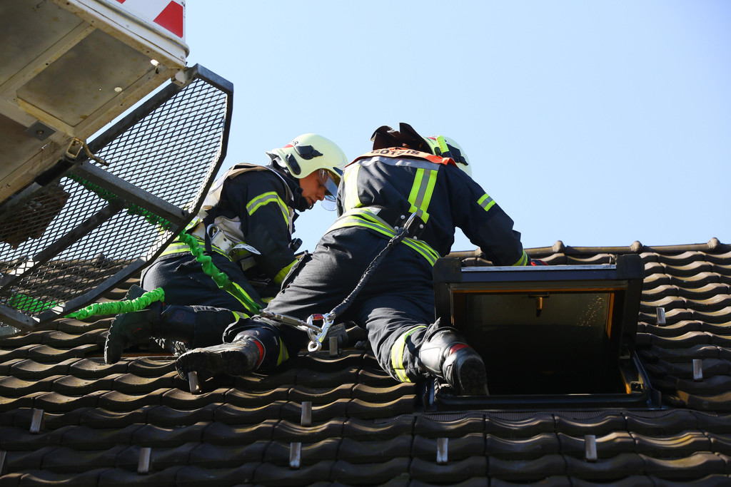 Zimmerbrand Go__tzis04.jpg