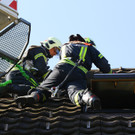 Zimmerbrand Go__tzis04.jpg