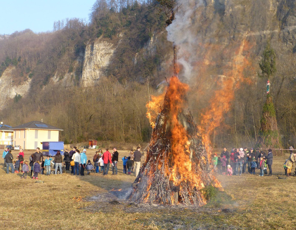 Erlach11a.jpg