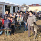 Erlach17.jpg