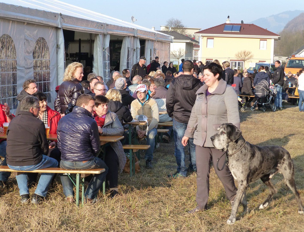 Erlach17.jpg