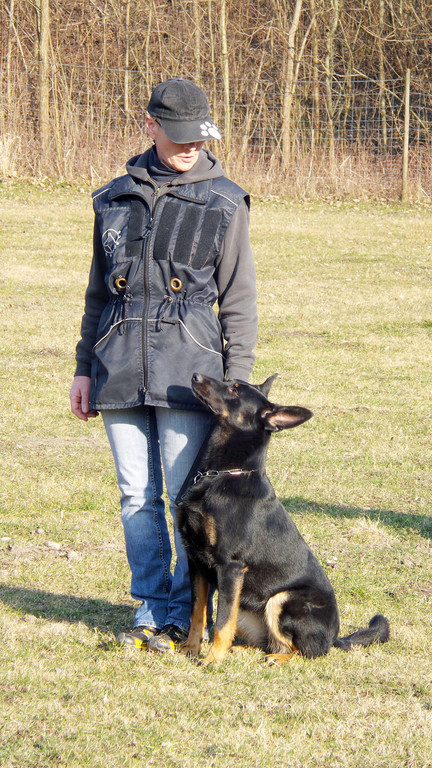 Symbolfoto HSV N__ziders Kursbeginn Fr__jahr 2014 1.jpg