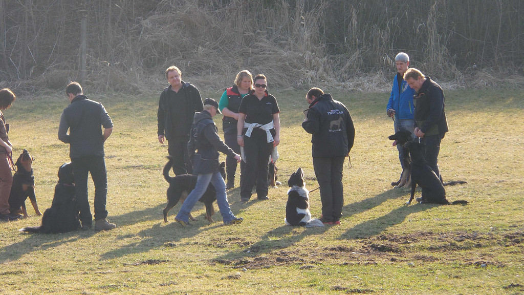 Symbolfoto HSV N__ziders Kursbeginn Fr__jahr 2014 4.jpg