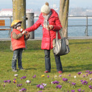 Frühlingsboten in den Seeanlagen