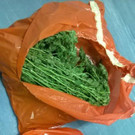 Große Mengen von Marihuana in Wien-Ottakring sichergestellt