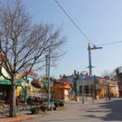 IMG_0559 _2_.JPG