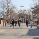 IMG_0641.JPG