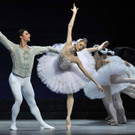 Schwanensee an der Oper in Wien