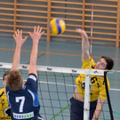 M_Geier.jpg