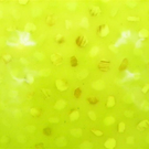 101_1083_jpg-1270852075