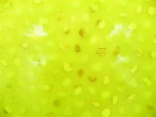 101_1083_jpg-1270852075