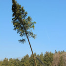 IMG_3701.jpg