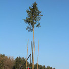 IMG_3722.jpg