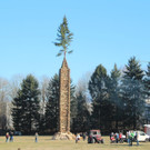 IMG_3981.jpg