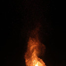 IMG_4118.jpg