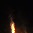 IMG_4134.jpg