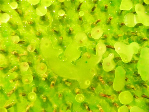 101_1119_jpg-1270852105