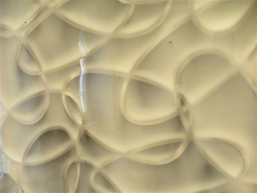 101_1136_jpg-1270852122