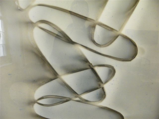 101_1137_jpg-1270852123