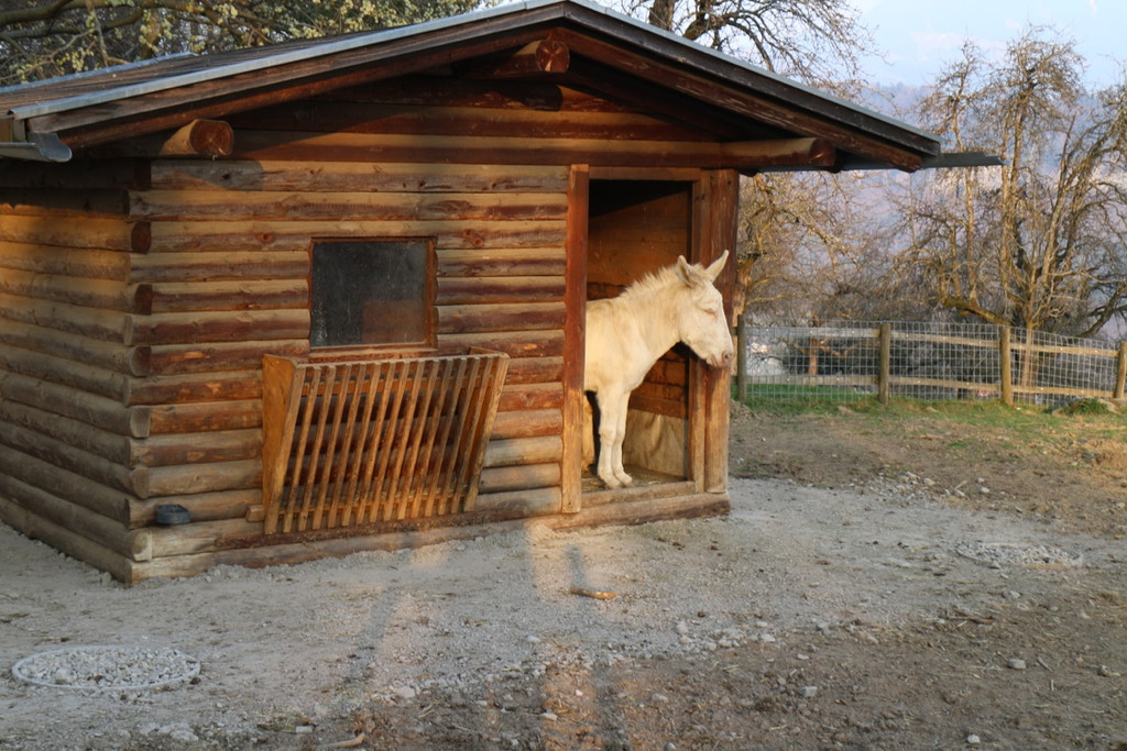 KOE_Wildpark JHV 2014 16.jpg
