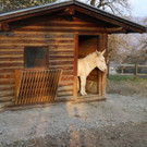 KOE_Wildpark JHV 2014 16.jpg