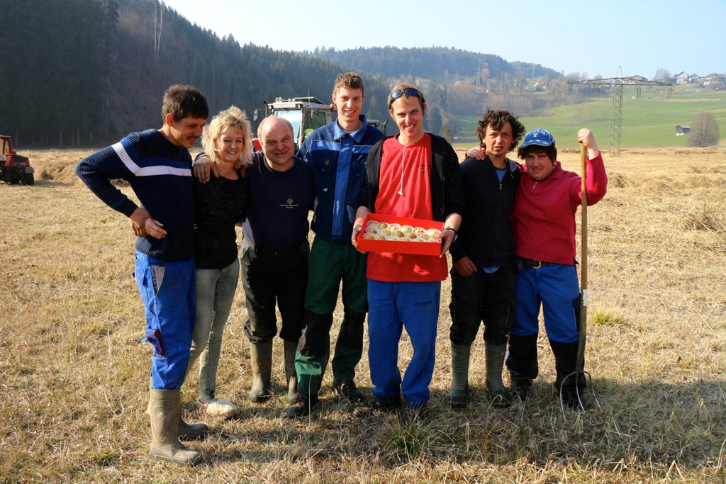 KOE_Schildried Streuewiese 1.jpg