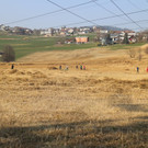 KOE_Schildried Streuewiese 2.jpg