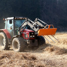 KOE_Schildried Streuewiese 4.jpg