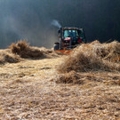 KOE_Schildried Streuewiese 5.jpg