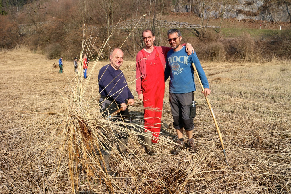 KOE_Schildried Streuewiese 7.jpg