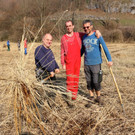 KOE_Schildried Streuewiese 7.jpg