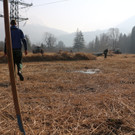 KOE_Schildried Streuewiese 8.jpg