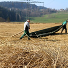 KOE_Schildried Streuewiese 9.jpg