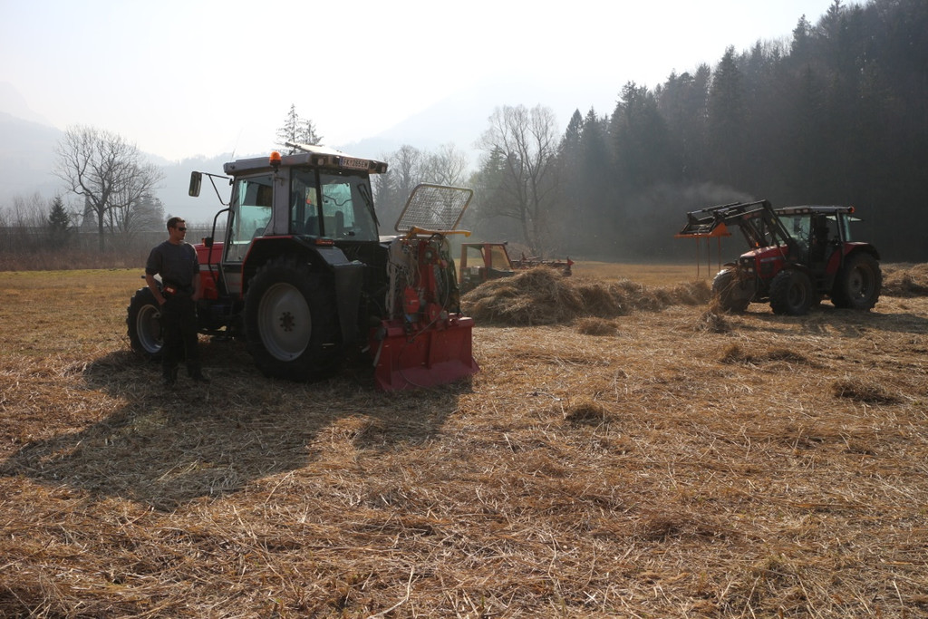 KOE_Schildried Streuewiese 10.jpg