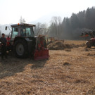 KOE_Schildried Streuewiese 10.jpg