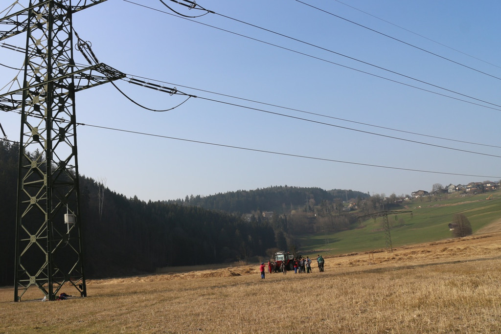 KOE_Schildried Streuewiese 12.jpg
