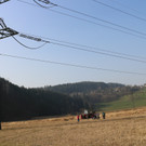 KOE_Schildried Streuewiese 12.jpg