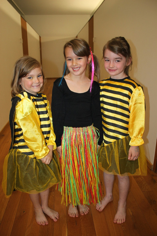 Musikschule ZWERGERL Konzert Impressionen 2013 _9_.jpg