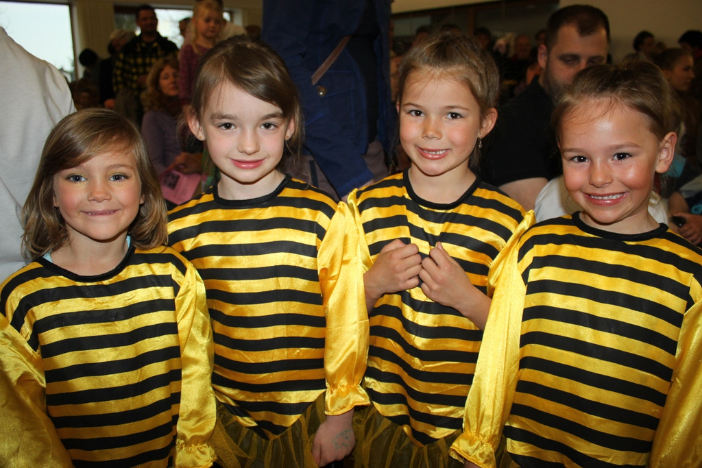 Musikschule ZWERGERL Konzert Impressionen 2013 _12_.jpg