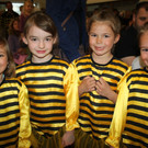 Musikschule ZWERGERL Konzert Impressionen 2013 _12_.jpg
