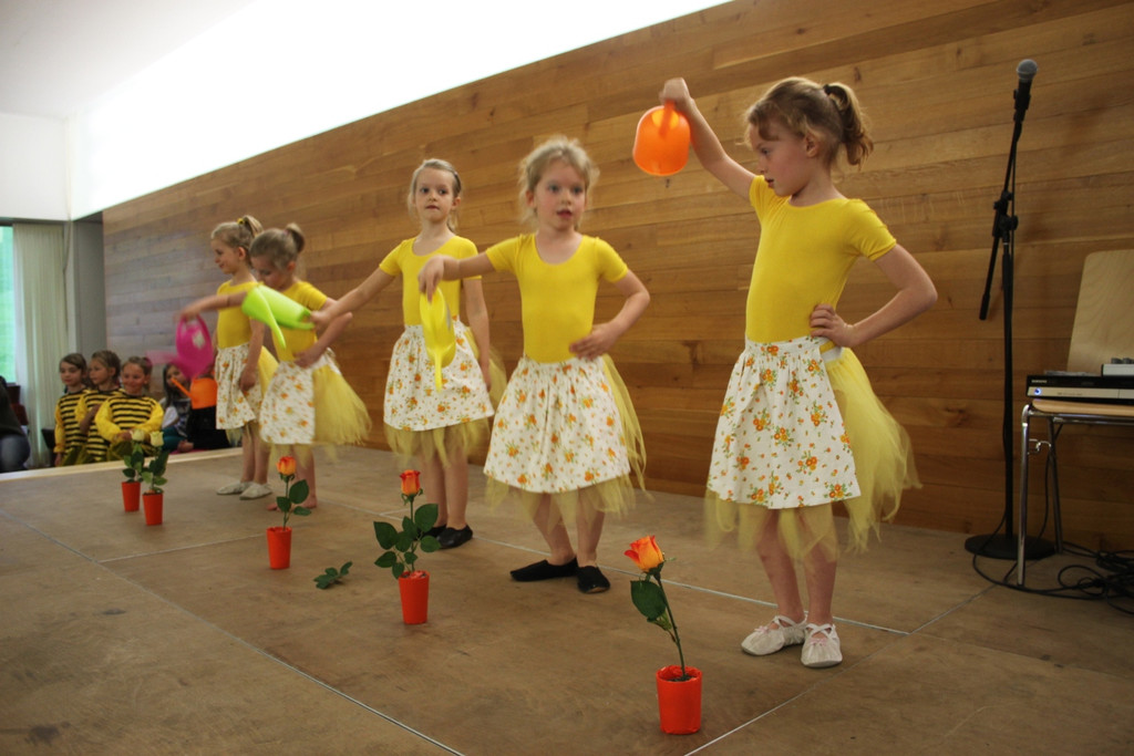 Musikschule ZWERGERL Konzert Impressionen 2013 _14_.jpg