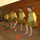 Musikschule ZWERGERL Konzert Impressionen 2013 _15_.jpg