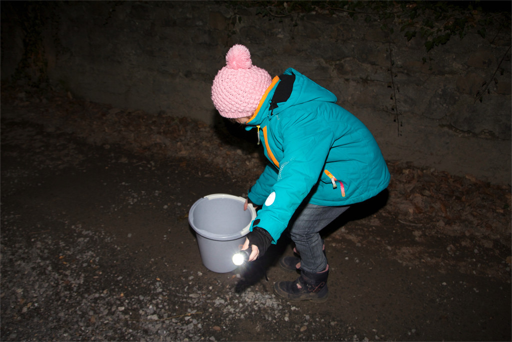 BK_Amphibienrettungsaktion_Levner Weiher 13.jpg