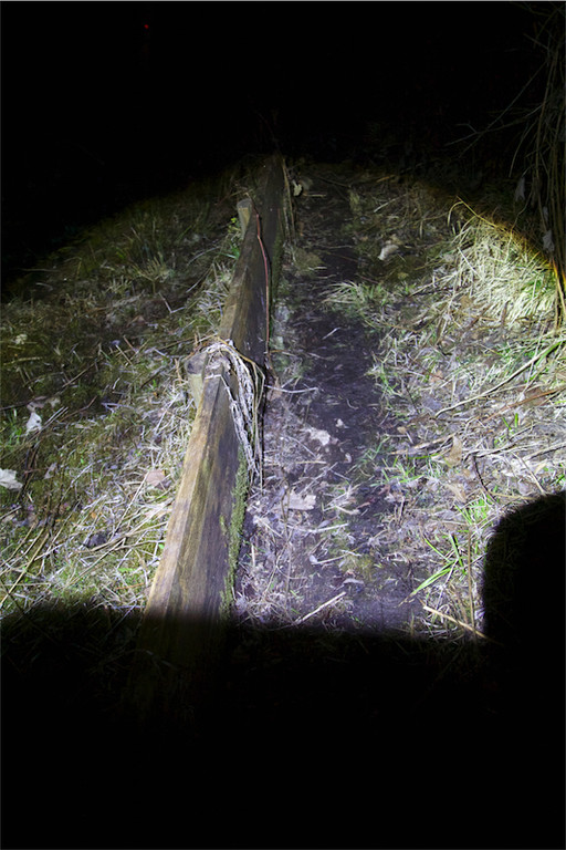 BK_Amphibienrettungsaktion_Levner Weiher 20.jpg