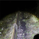 BK_Amphibienrettungsaktion_Levner Weiher 20.jpg